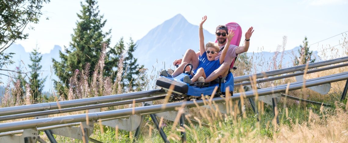 Luge été